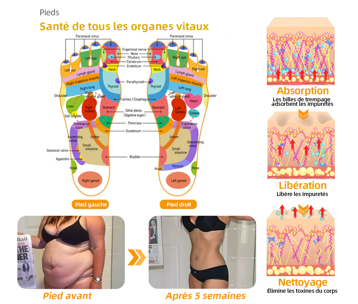 Il ne reste plus que 6 packs ! En exclusivité pour vous, bénéficiez de 30% de réduction ! Les principaux experts de la santé recommandent d'acheter 4 à 6 paquets pour restaurer complètement la santé de votre système lymphatique.🧀